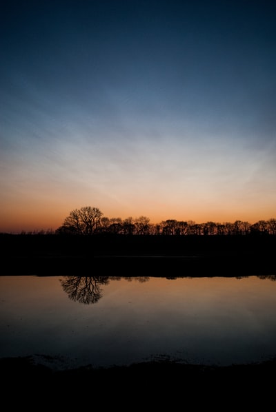 The outline of prime-time trees near water
